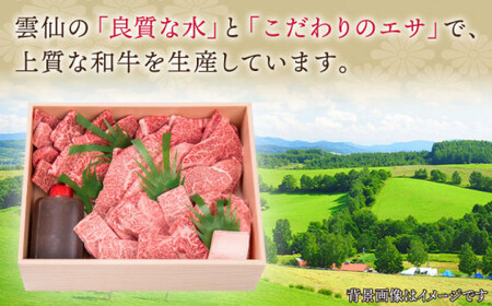 【全6回定期便】長崎和牛 長崎和牛 上焼き肉 ４種 詰め合わせ セット  総計5.52kg (920g/回)【株式会社 OGAWA】[QBI016]