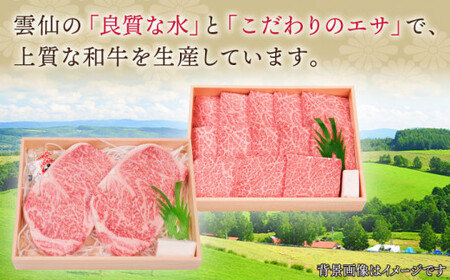 【全12回定期便】長崎和牛 ステーキ セット (特上ロース・サーロイン)  総計13.2kg (1.1kg/回)【株式会社 OGAWA】[QBI020]