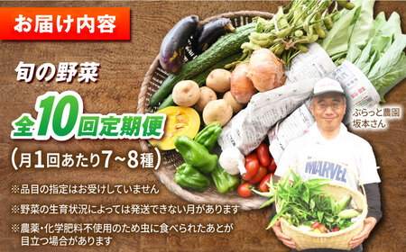 【全10回定期便】自然栽培・旬の野菜詰め合わせ 五島市/ぷらっと農園 [PDS010]