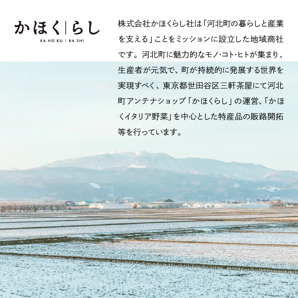 ワイン 泡 デラウェア ワイン 2025 750ml 河北町産 ぶどう ワイン