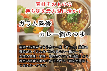 カレー鍋のつゆ 4人前 500g×2 うどん 100g×4 スパイス付 [キヨトク 福岡県 筑紫野市 21760718]