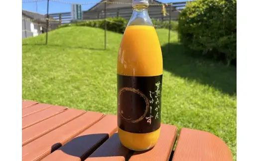 みかんジュース 麗紅 甘熟 みかんじゅーす 1L×6本 仲森農園【nkmr0008A】