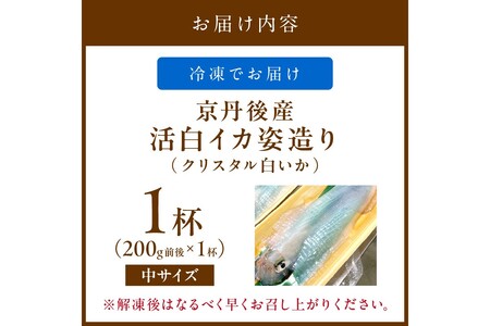 京丹後産『海の京都』の逸品！！　活白イカ姿造り（クリスタル白いか）中サイズ 1杯（200g前後）（2026年6月上旬～発送）