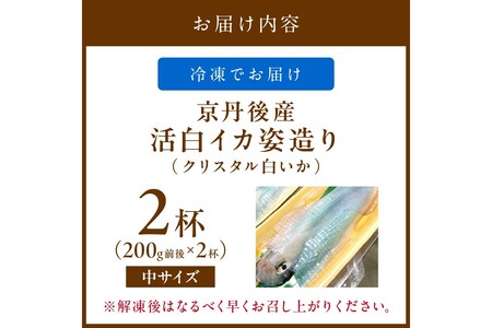 活白イカ姿造り 中サイズ 2杯（200g前後）（2026年6月上旬～発送）イカ