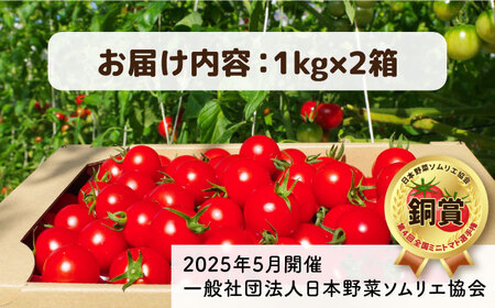 トマト フルティカ 2kg (1kg×2箱) 糸島市 / かわぞえ農園 [AAM006] トマト フルーツトマト