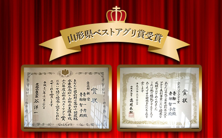 《2026年 先行予約》 山形県 中山町産 とうもろこし（スイートコーン） 約4kg（9～12本） 【青柳農園】 トウモロコシ 野菜 やさい F4A-0408