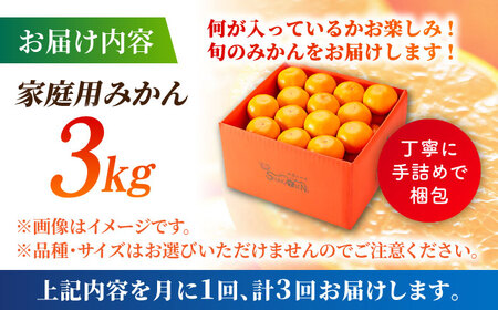 【先行予約】【3回定期便】【訳あり】家庭用 みかん 約3kg 詰め合わせ 柑橘【合同会社 社方園】[ZBZ023]