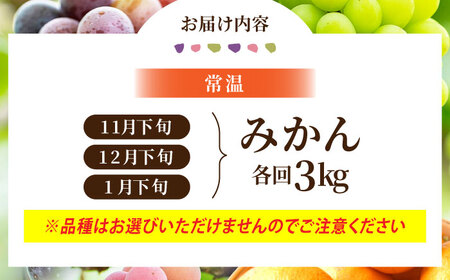 【先行予約】【6回定期便】品種おまかせ みかん・ぶどう 定期便【合同会社 社方園】[ZBZ025]