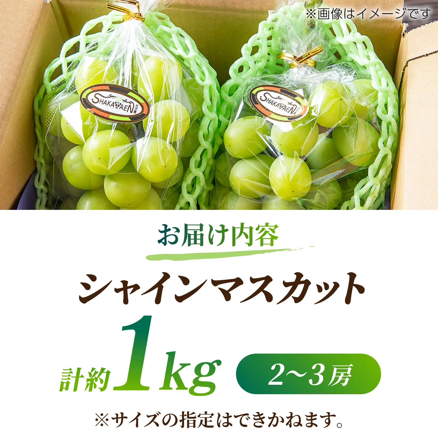 【先行予約】【訳あり】 シャインマスカット 約1kg(2～3房)【合同会社 社方園】[ZBZ028]