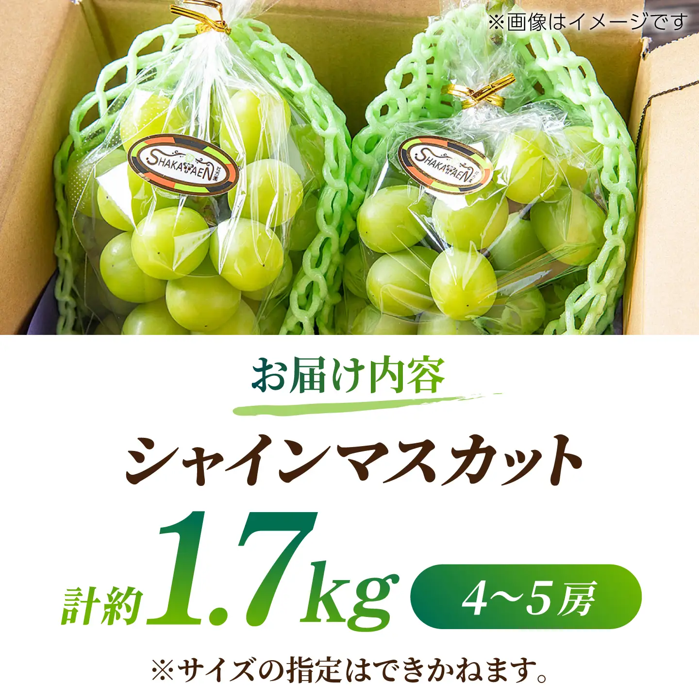【先行予約】【訳あり】 シャインマスカット 約1.7kg(4～5房)【合同会社 社方園】[ZBZ031]