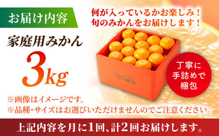【先行予約】【2回定期便】【訳あり】家庭用 みかん 約3kg 詰め合わせ 柑橘【合同会社 社方園】[ZBZ033]