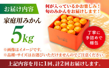【先行予約】【2回定期便】【訳あり】家庭用 みかん 約5kg 詰め合わせ 柑橘【合同会社 社方園】[ZBZ034]