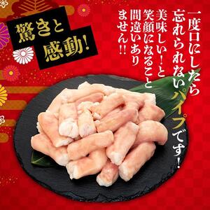 牛肉 黒毛和牛 ホルモン 丸腸(マルチョウ) 500g|ホルモン