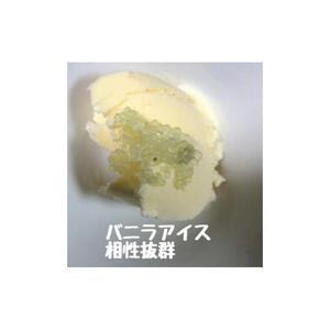 琴浦町産フィンガーライム 130g|ライム
