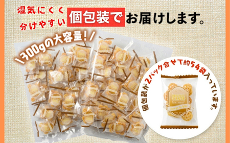 大人気！デュラム小麦のパスタスナック しお味 300g (約54個装) [4641] | スナック