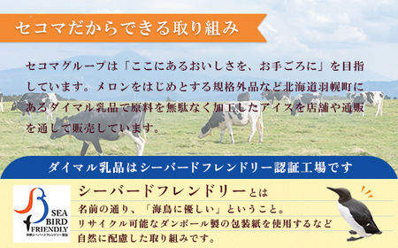 【Secoma】北海道アイスクリーム6個セット 3種×各2個（バニラ・メロン・チョコ） アイス  ふるさと納税 北海道 アイス 食べ比べ セット オンライン申請 オンライン バニラ メロン チョコ アイス 羽幌町 羽幌【01106】