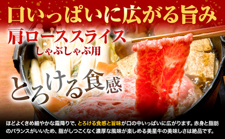 【12ヶ月定期便】美星牛 定期便 ハレノヒ良品 牛肉