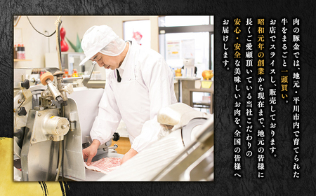 【レビューキャンペーン】ひらかわ牛使用のハンバーグ5個＆メンチカツ5個/計約1.3kg【お肉・ハンバーグ・揚げ物・メンチカツ】[hi-0011-011]