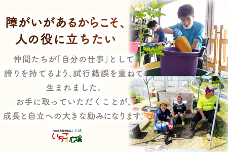 くつろぎcaféいちご　焼菓子詰め合わせセット（ハーフサイズ）