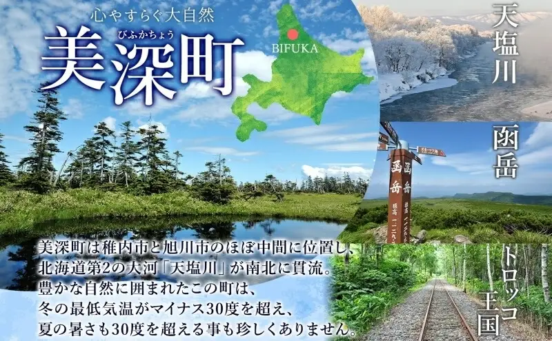  北海道 美深銘菓 ピウカ・ボッチャ 12本 スティックケーキ タルトスティックケーキ タルトケーキ スイーツ カボチャ かぼちゃ 南瓜 タルト カボチャの種 ブルーベリージャム 食感 ギフト 贈り物 個包装 送料無料 菓子司すぎむら 美深町