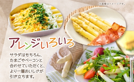 2026年発送  ホワイトアスパラ 1kg(2L～3L ）【秀品】 白旬 新鮮 野菜 朝採れ アスパラ アスパラガス ギフト 産地直送 お取り寄せ フレッシュ 甘い 春 春野菜 旬の味覚  季節 送料無料 北海道産 美深町