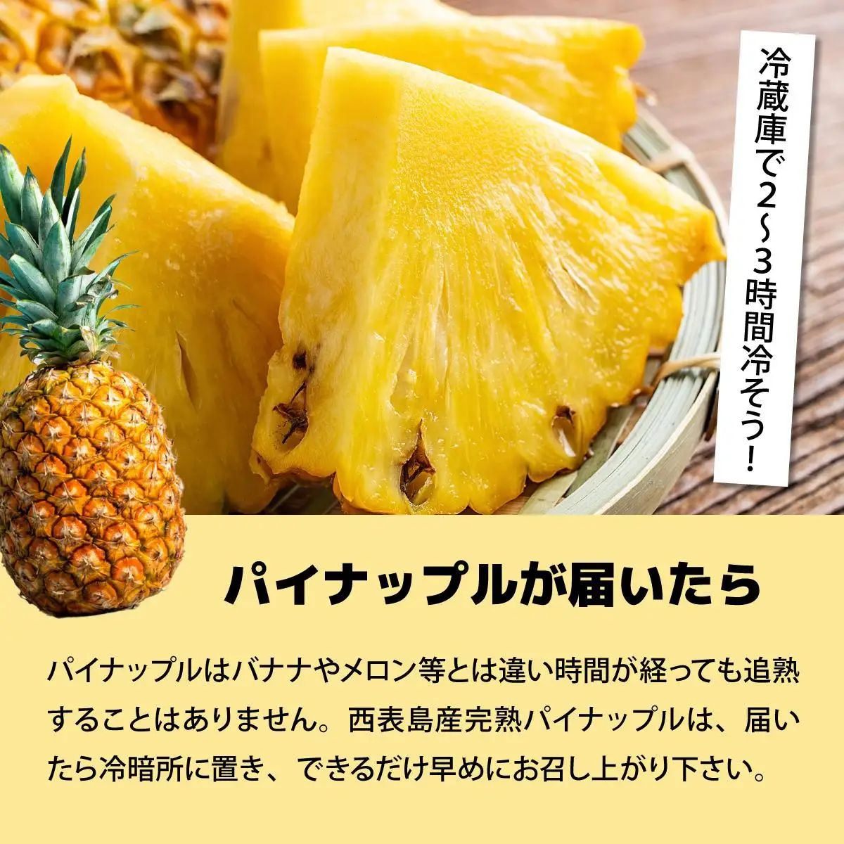 ゴールドバレルビッグな２玉セット
