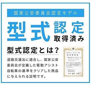 電動自転車 PELTECH（ペルテック）ノーパンク 折り畳み電動アシスト自転車 20インチ 折り畳み外装6段変速（TDN-206LN）【簡易組立必要】【ブラック】