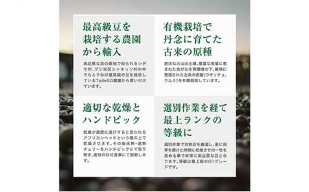 珈琲 スペシャルティーコーヒー豆【豆のまま】#123  エチオピア モカ シャキッソ ナチュラル G1 600g