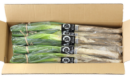 JA24 土付きねぎ 約3kg / 2026年11月上旬〜2027年2月上旬頃配送予定 // 長野県 南信州産 野菜 信州野菜 新鮮 長ネギ ネギ 長ねぎ 白ねぎ 白ネギ