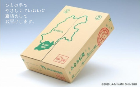 JA15 りんご サンふじ 約5kg / 2026年11月下旬～12月上旬ごろ配送予定 // 長野県 南信州 贈答 ギフト お歳暮 ふじ フジ さんふじ 新鮮 林檎 リンゴ サンフジ