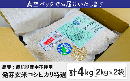令和7年産 発芽玄米 コシヒカリ「特選」 2kg×2袋（計4kg）こしひかり 玄米コシヒカリ 米 [B-2948]