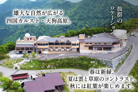 宿泊券 1泊2食付 星ふるヴィレッジTENGU 展望デッキ 付き ツイン (シャワー付き) ペア 宿泊 券 (2名様分) [天狗荘(星ふるヴィレッジTENGU) 高知県 津野町 26bb0002]