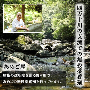 【予約受付】焼くだけ簡単！無投薬で四万十育ちのあめごの開き（中サイズ7匹） おつまみ バーベキュー BBQ アウトドア アメゴ アマゴ 魚 魚介 川魚 塩焼き あめご あまご 開き 干物／Eay-04 干物 