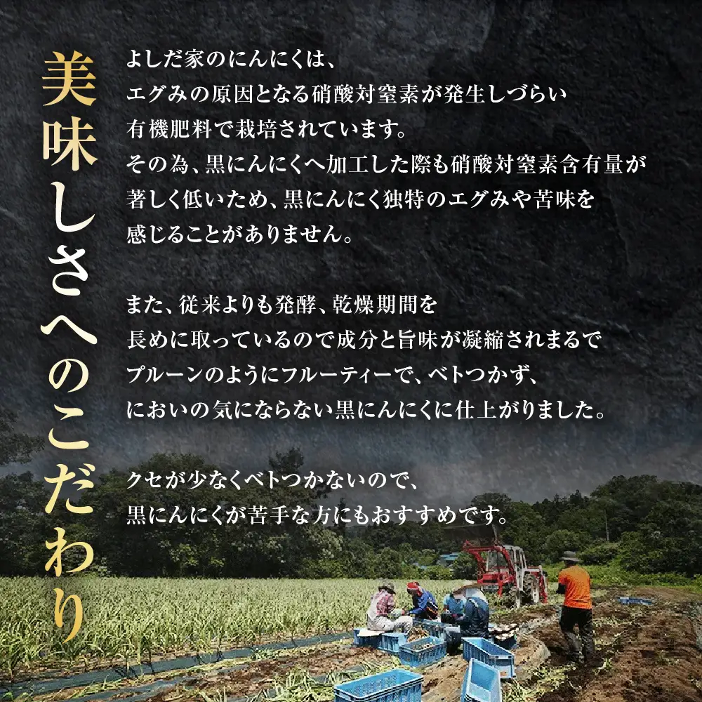 青森県産 黒にんにく バラ 600g にんにく