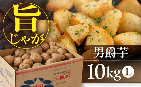 【9月下旬以降順次発送】男爵芋 10kg じゃがいも [AJAK008]