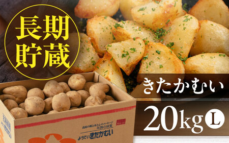 【2027年1月上旬以降順次発送】きたかむい 20kg じゃがいも [AJAK013]