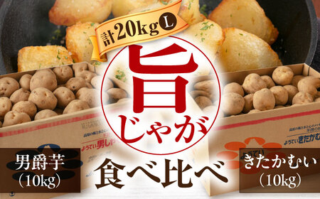  【先行予約】食べ比べセット 20kg  [AJAK015] じゃがいも