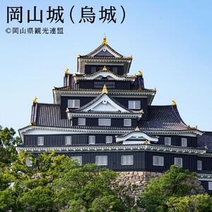 【岡山市】JTBふるさと旅行券（900,000円分）有効期間5年 | 予約 宿泊 観光 体験 温泉 ホテル 旅館 チケット 子供 子連れ カップル 家族 店頭 電話 岡山