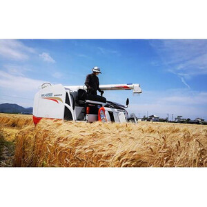 令和7年産 岡山西大寺の幸せ もち麦 (キラリモチ)  数量限定  2kg(500g×4) | 米 米