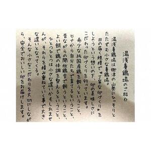 Mint シフォンケーキ 1ホール（直径 約21cm）【配達不可：離島】