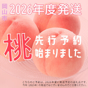 桃 2026年  岡山の桃（晩生種）約1.6kg 4~6玉 もも モモ 岡山県産 国産 フルーツ 果物 ギフト 横木農園