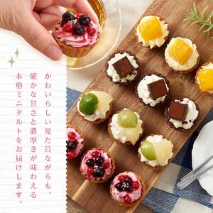 定期便 3ヶ月 フレッシュ タルト 専門店  STYLE 岡山みに たると 詰め合わせ 15個入り ケーキ タルト 詰合せ お菓子 スイーツ