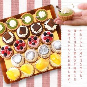 定期便 4ヶ月 フレッシュ タルト 専門店 STYLE 岡山みに たると 厳選 5種 20個入 お菓子 ケーキ タルト スイーツ 合せ