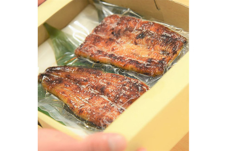 うなぎ うなぎ蒲焼き 160～200g× 2尾 (タレ・山椒付き) 仕出しのせきや 鰻 土用の丑の日 国産