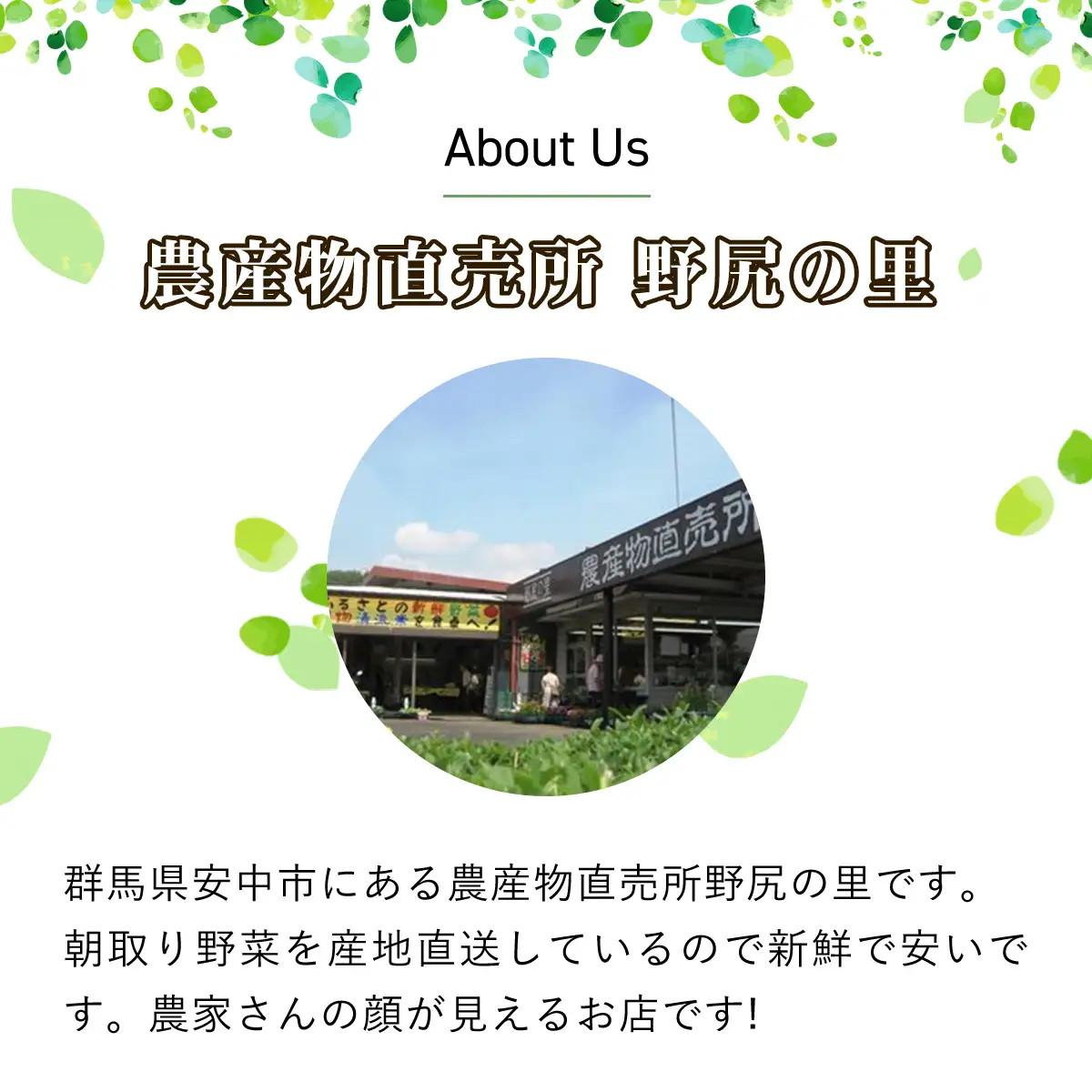 四季折々の新鮮野菜詰め合わせ 旬をお届け! 【15種類以上】 ANAR008