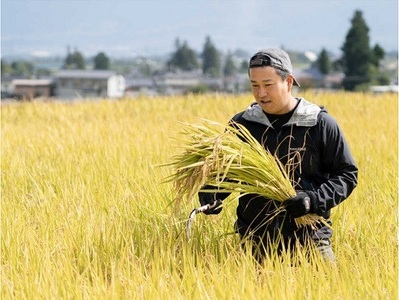 1410 長野県産米コシヒカリ 10kg