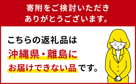 野州タンメン 10袋セット  ns036-007 麺 ﾗｰﾒﾝ 栃木県 那須塩原市