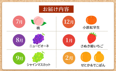 【全6回】フルーツ定期便 いいとこどり定期便 食べきり版