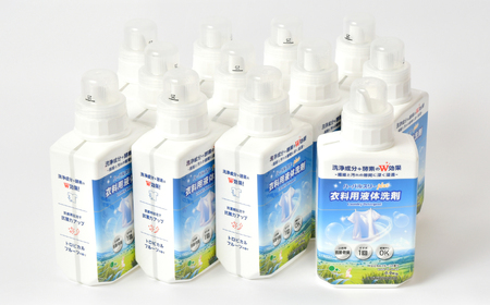 洗濯洗剤 液体洗剤セット 本体×12本 [FZ001]