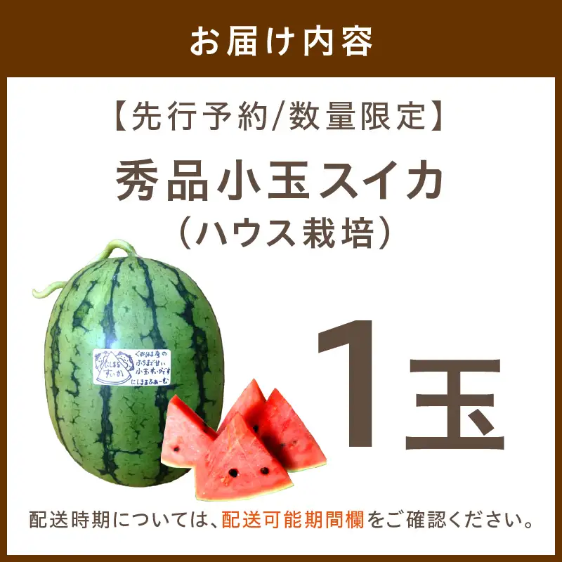【先行予約／数量限定100】スイカ にしまるスイカ 秀品 1玉｜2026年6月中旬から発送